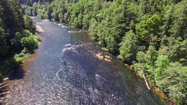 Image The McKenzie River