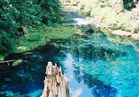 Image Tamolitch Falls, Blue Pool