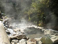 Image Cougar Hot Springs  Terwilliger Hot Springs